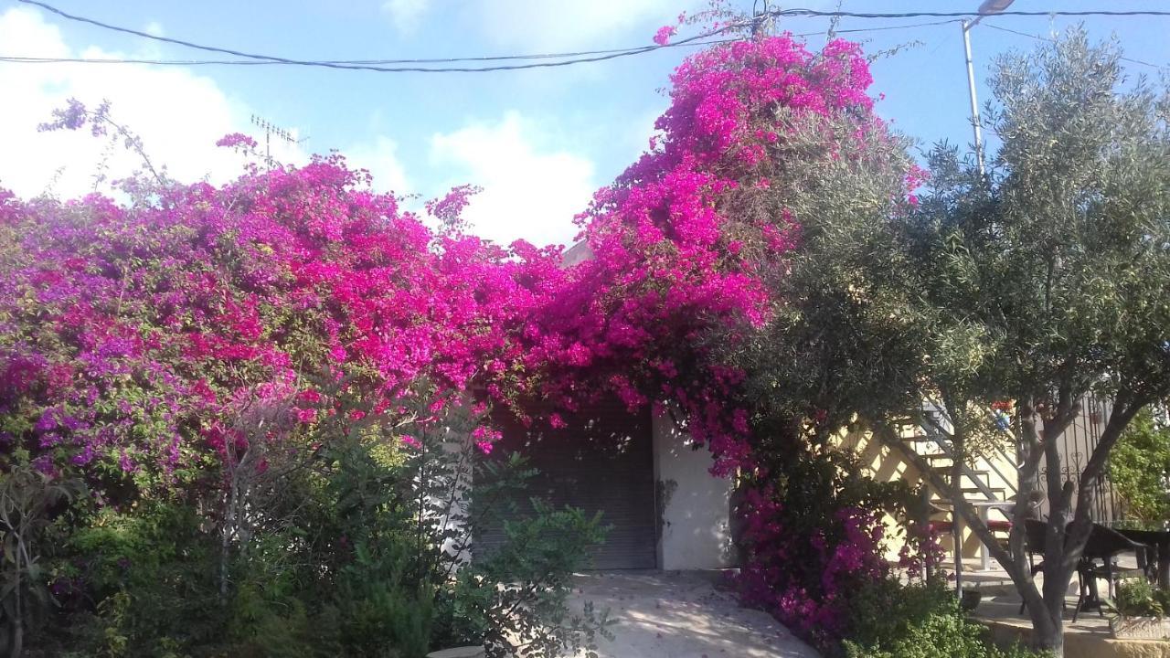Casa Los Cerezos ビジャマルティン エクステリア 写真